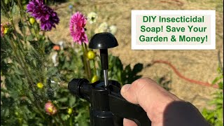 DIY Insecticidal Soap Save Your Garden amp Money with This Easy Recipe [upl. by Siramad]