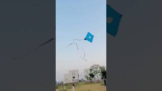 Baccho ne udai lambi puuch ki patang ❤️ biggest kite tail 🥰kiteflying ground shorts [upl. by Notsahc]