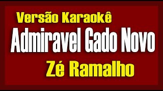 Zé Ramalho e Fagner  Admirável gado novo Karaokê [upl. by Eciuqram112]