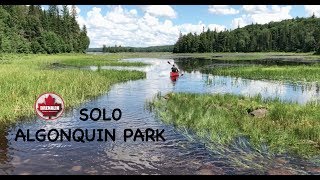 Algonquin Park Solo Canoe Trip [upl. by Sucrad]