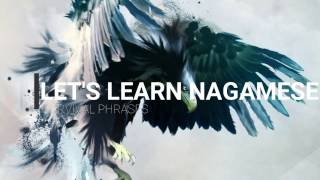 Lets learn Nagamese Survival phrases PART1 [upl. by Yle]