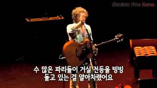 데미안 라이스  Amie 에 관한 이야기Damien Rice  The story about Amie [upl. by Arihay]