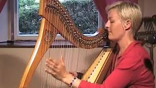 Corrina Hewats Scottish Harp clarsach intermediate course Solo  Martyns Jig [upl. by Nerad384]