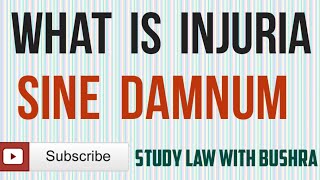 What is Injuria Sine Damnum I Kinds of Injuria I Law of Torts [upl. by Nared]