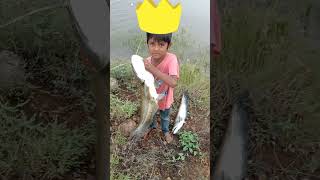 🔥Yeldari dam Balu fish live🐬😍 [upl. by Zoila]