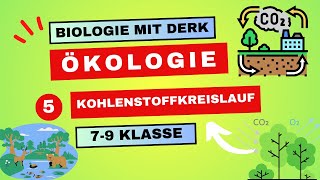 Ökologie  5  Kohlenstoffkreislauf  7  9 Klasse [upl. by Lazaruk]