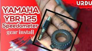 yamaha speedometer repair  yamaha ybr 125  gear set [upl. by Haerdna]