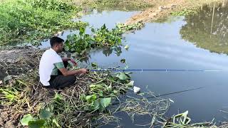 Village hook fishing video in local river  Amazing fish video [upl. by Lyram]