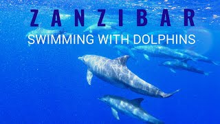 Swimming with dolphins Zanzibar [upl. by Kennet]