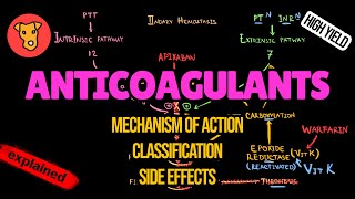 ANTICOAGULANTS Mechanism of action Side effects Pharmacology of Blood clotting [upl. by Elaval]