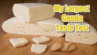 My Largest Gouda Taste Test [upl. by Surtimed691]