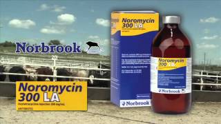 DocTalk  Bovine Leukosis Virus in Cattle 480p [upl. by Najar]