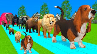 Paint Animals DuckTigerCowLionBuffaloGorillaElephantDinosaur Fountain Crossing Animal Game Ni [upl. by Johnson]