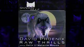 David Phoenix  Raw Thrills Original Mix [upl. by Willms]