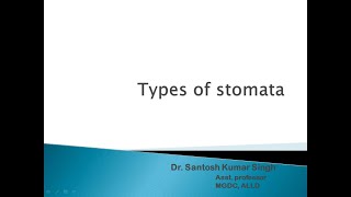 Type of Stomata [upl. by Khalsa]