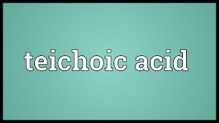 Teichoic acid Meaning [upl. by Boyse]