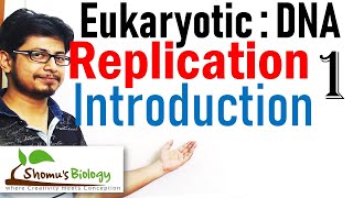 DNA replication in eukaryotes 1  Introduction [upl. by Eiggem36]