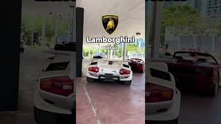 Which Lamborghini would you choose car lamborghini [upl. by Nnylirehs]