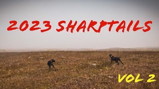 Sharptail Hunting  2023  Vol 2 [upl. by Bushore]