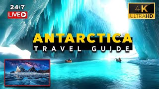 🔴 247 Live From Antarctica 🐧🧊 4K Drone View  Travel Guide World [upl. by Maurili]