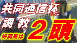 共同通信杯2024 追い切り診断 ジャンタルマンタル、エコロヴァルツの評価は！？ 元馬術選手のコラム by アラシ [upl. by Meta]