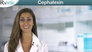 Cephalexin belongs to the Cephalosporin Antibiotics Drug Group  Overview [upl. by Woolson]