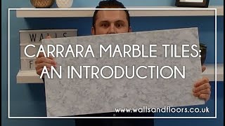 Polished Natural Carrara Marble Tile  An Introduction [upl. by Eniamirt506]