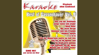 Der letzte Sirtaki Instrumental  Karaoke [upl. by Wj]