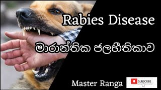 Rabies ජලභිතිකාව Sinhala [upl. by Tana]