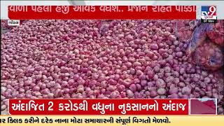 Massive income of onion crop in Gondal Market Yard prices likely to decrease  Rajkot  TV9News [upl. by Eloccin]