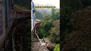 Sakleshpur train ghat train journey music shortsvideo [upl. by Llerat881]