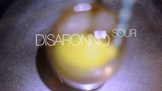 Disaronno Sour [upl. by Briant]