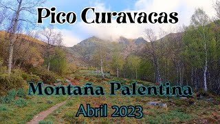 Pico CURAVACAS 2524m Montaña Palentina  Cordillera Cantábrica Abril 2023 4K [upl. by Htnicayh]