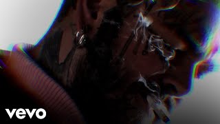 Post Malone  Lemon Tree Official Lyric Video [upl. by Mathilda538]