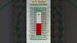 Magnetic field lines physics lab experiment [upl. by Aisatana693]