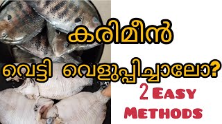 How to clean Karimeen easily  കരിമീൻ എങ്ങനെ എളുപ്പത്തിൽ ക്ലീൻ ചെയ്യാം നെല്ലിപ്പലക [upl. by Annavoeg556]