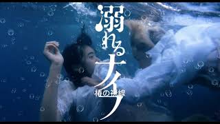 Drowning Love Oboreru Knife 椿の視線 [upl. by Vernor]