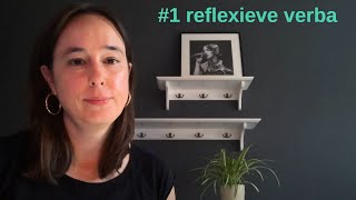 zakelijk Nederlands B2C1 reflexieve werkwoorden reflexive verbs learndutch nt2nederlandsleren [upl. by Yahsat]