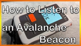 How to Listen to an Avalanche Beacon [upl. by Lottie]