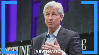 JPMorgan CEO warns Democrats about MAGA criticism  The Hill [upl. by Esinehs]