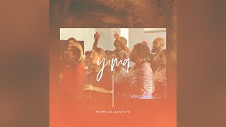 Yima  Numa Collective [upl. by Nat457]