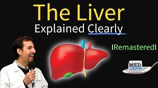 Liver Explained Function Pathology Diseases amp Cirrhosis [upl. by Manup430]