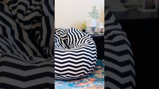 Unboxing New Bean Bag homedecor beanbag chillspace [upl. by Ahtnammas]