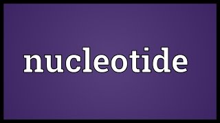 Nucleotide Meaning [upl. by Eli]