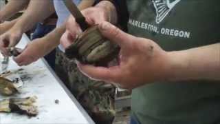 Clamming  how to clean by Rob of Basin Tackle [upl. by Nadab]