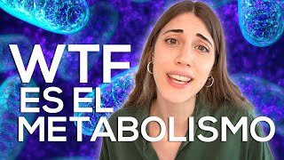 METABOLISMO ¿Qué significa REALMENTE [upl. by Philly]