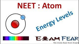 NEET Physics Atom  Energy Levels Excitation Binding Ionization Energy [upl. by Croner148]