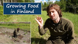 Growing Food in Freezing Finland  My First Year [upl. by Gleeson]