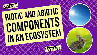 Biotic and Abiotic Components in an Ecosystem [upl. by Enirehtak]