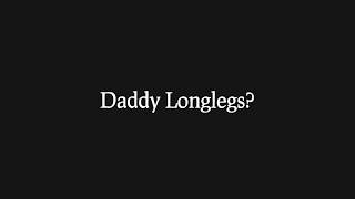 Are Daddy Longlegs Spiders Re 8 Animal Misconceptions Rundown [upl. by Anadal]